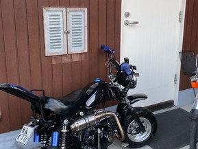 Honlei 50 cc