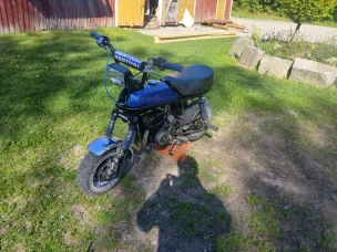 Suzuki PV