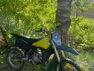 Suzuki RM