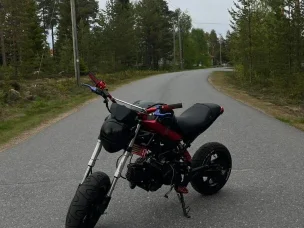 Dynamic Monster