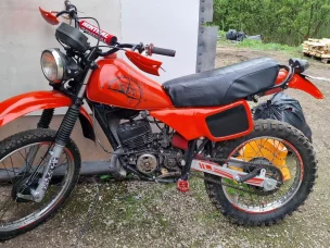 Suzuki TS