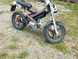 Sachs MadAss