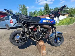 Suzuki PV