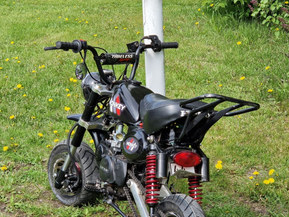 Zhenua Monkey