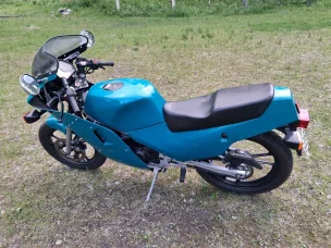 Suzuki RG