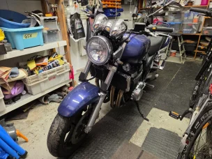 Suzuki GSX