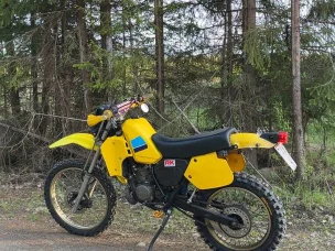 Suzuki TS