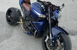 Suzuki GSX