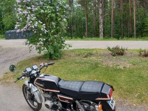 Suzuki GT