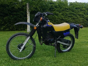 Suzuki TS