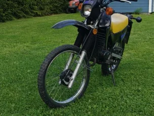 Suzuki TS