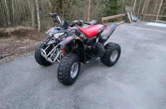 Polaris Predator