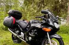 Suzuki GSX