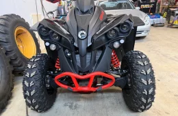 Can-Am renegade