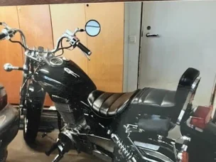 Suzuki LS