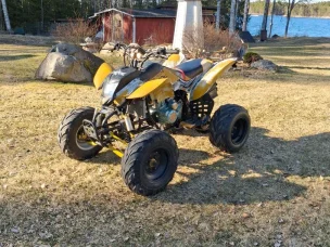 Bashan BS200S-7