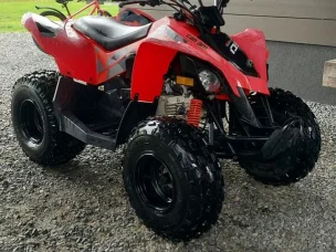 Can-Am DS