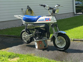 Suzuki PV