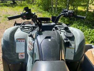 Yamaha Grizzly