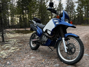 Suzuki DR