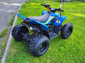 CFMOTO CFORCE
