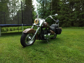 Suzuki VL