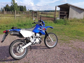 Suzuki DR-Z