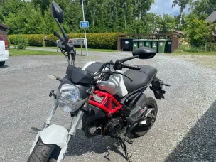 Dynamic Monster