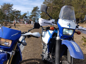 Suzuki DR-Z