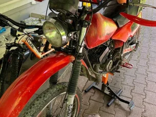 Suzuki TS