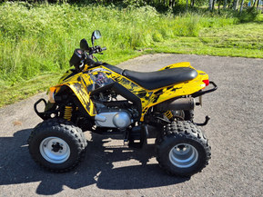 Can-Am DS