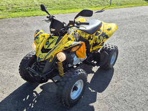 Can-Am DS