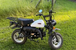 Conan St-50