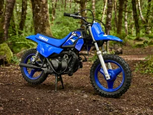 Yamaha PW