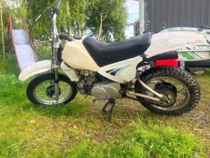 Yamaha PV