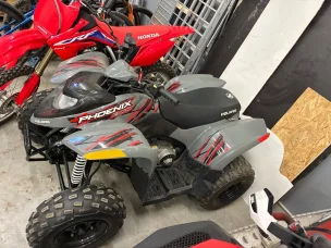 Polaris Phoenix