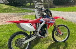Sur-Ron Light bee
