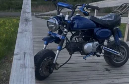 Conan St-50