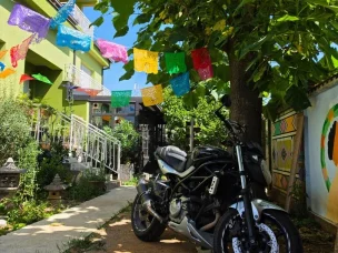 Suzuki SFV 650 Gladius