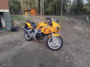Suzuki SV