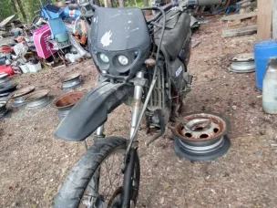 Kawasaki KMX