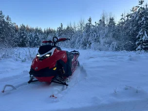 Lynx Shredder