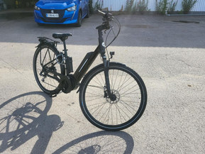 MBM Pulse