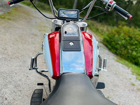 Suzuki VL
