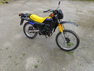 Suzuki TS