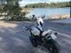 Ducati Monster