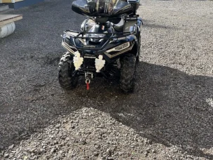 Linhai 300 4x4