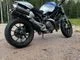 Ducati Monster