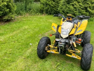 Bashan BS200S-7