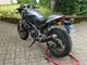 Ducati Monster